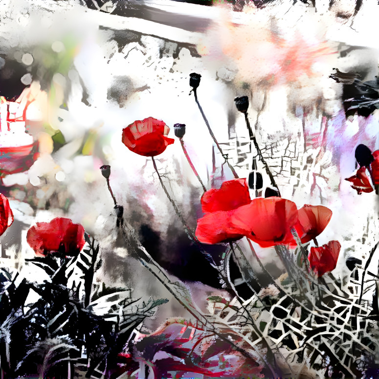 Abstract Poppies