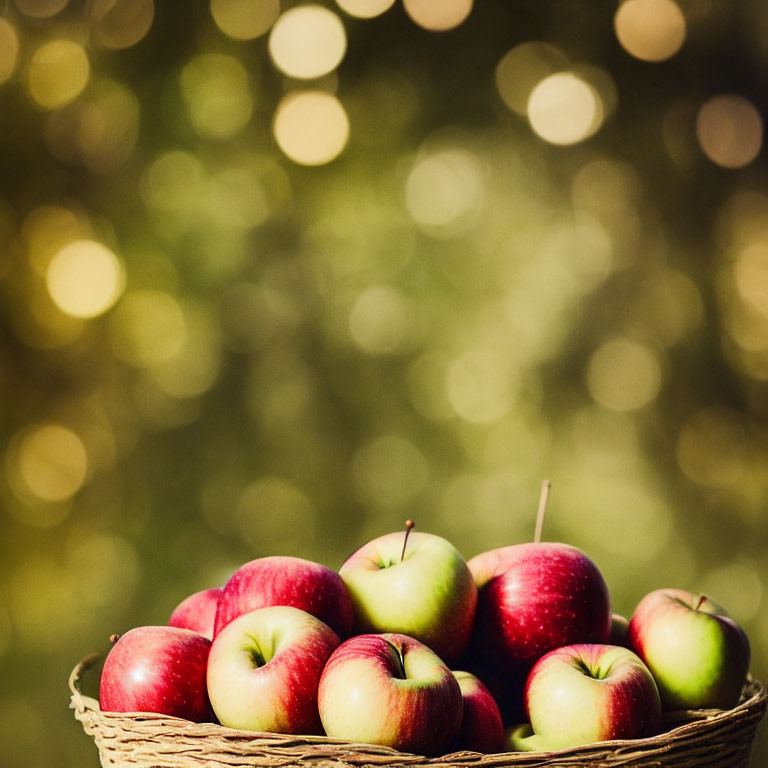 Basket of red and green apples with golden bokeh lights background