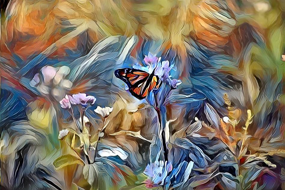 Butterfly (Quebec)