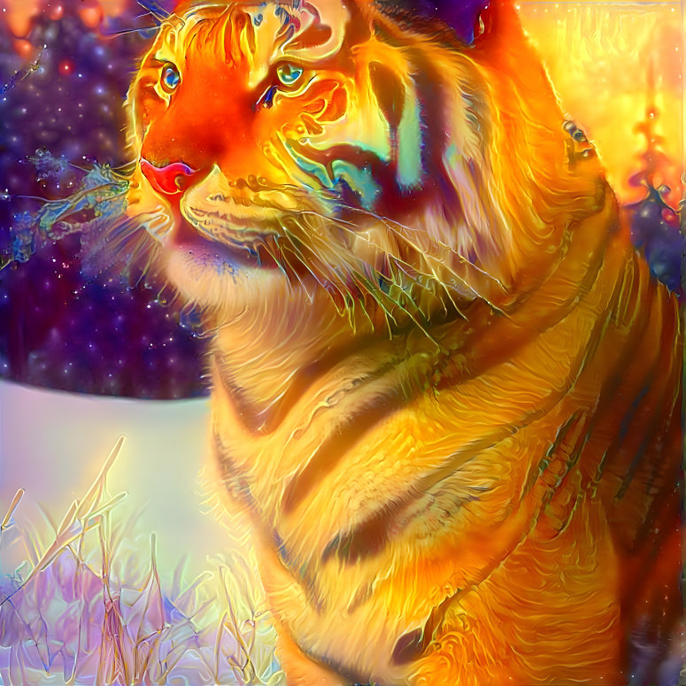 Tiger Awaits 2