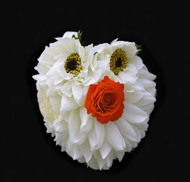 White and Red Heart-Shaped Flower Arrangement on Black Background