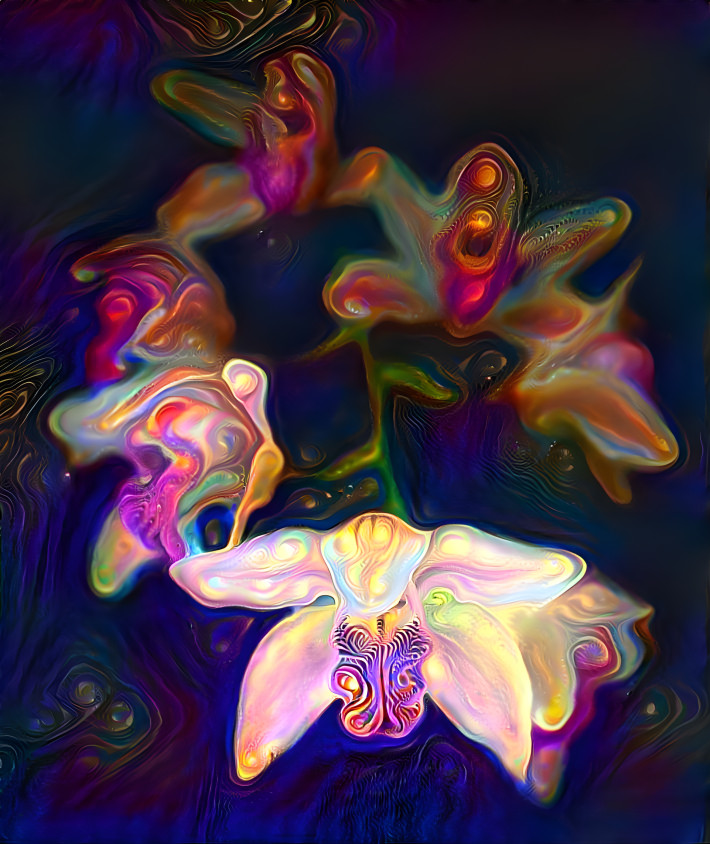 Trippy orchids
