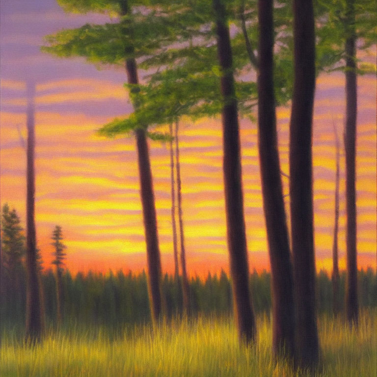 Tranquil forest painting with tall trees and vibrant sunset sky