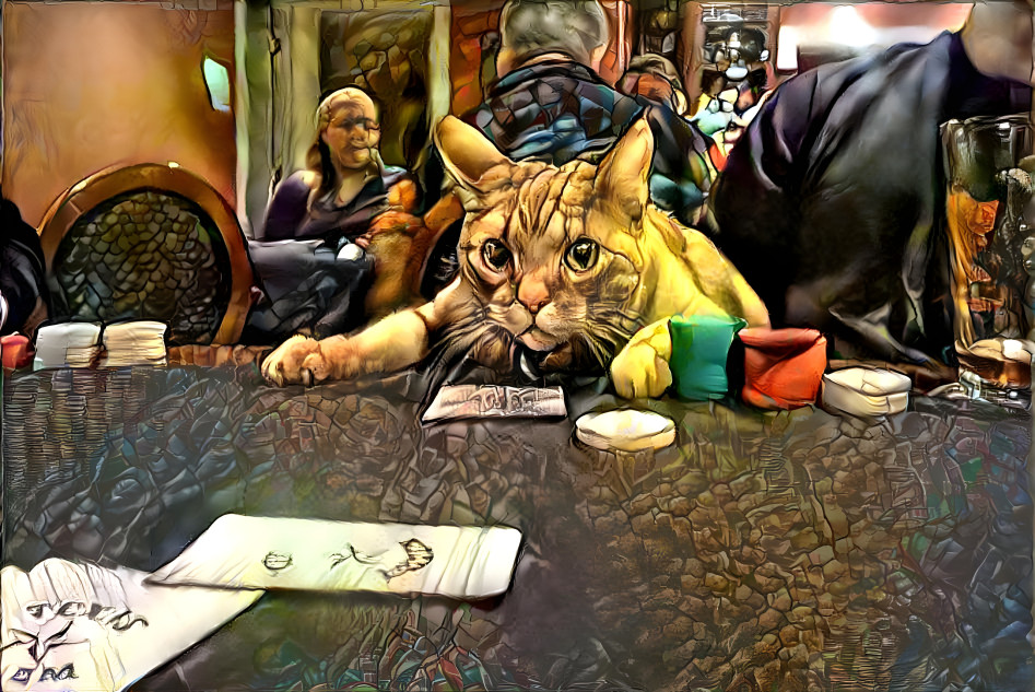 Poker Cat