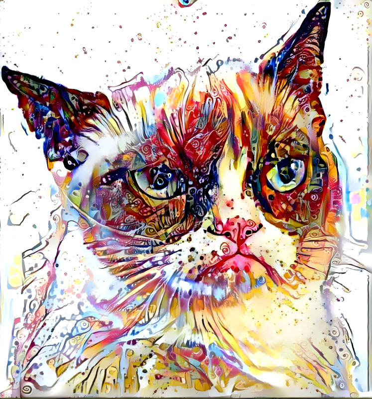 Art Fashion Grumpy Cat