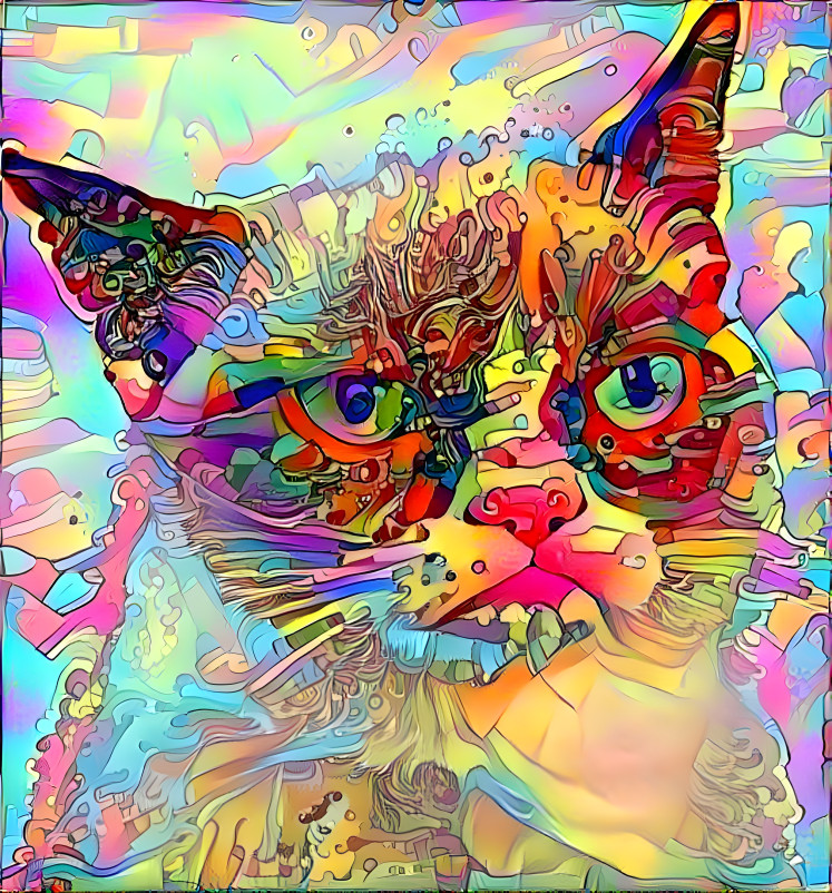 Psychedelic Grump Cat
