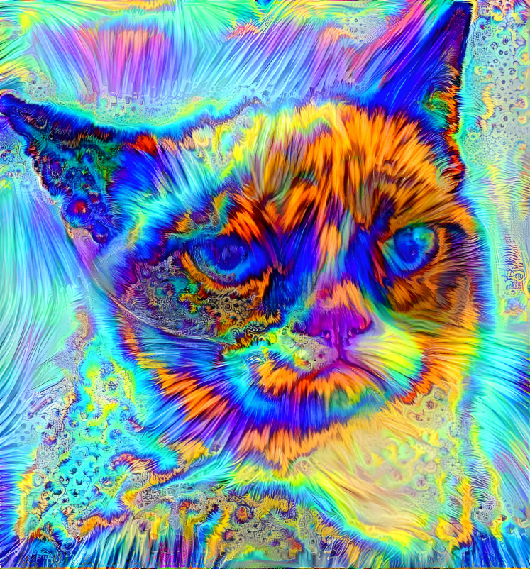  Pandimensional Grumpy Cat