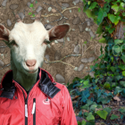 Surreal goat-headed human in red jacket amid vibrant urban scene