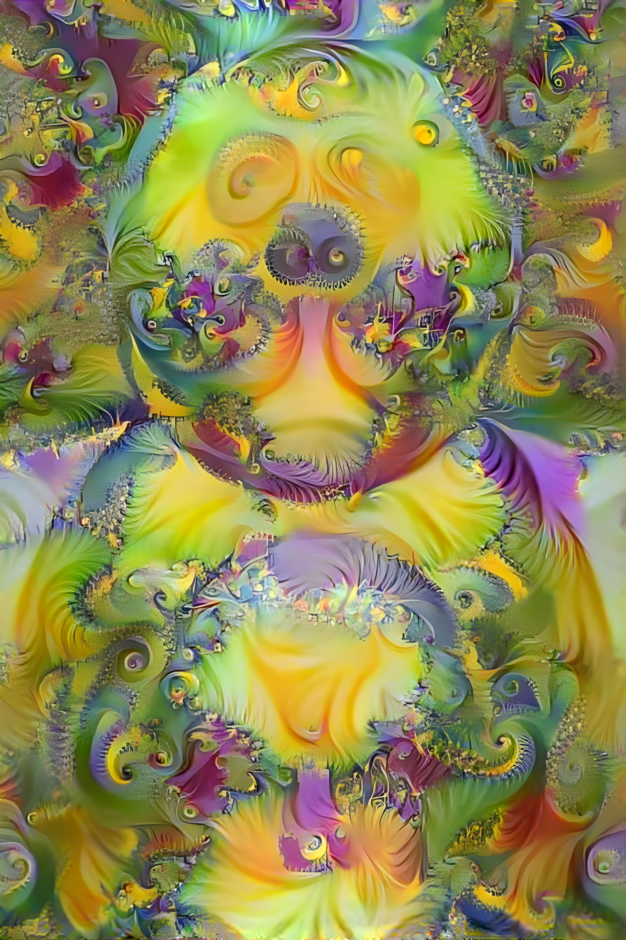 fractal calm