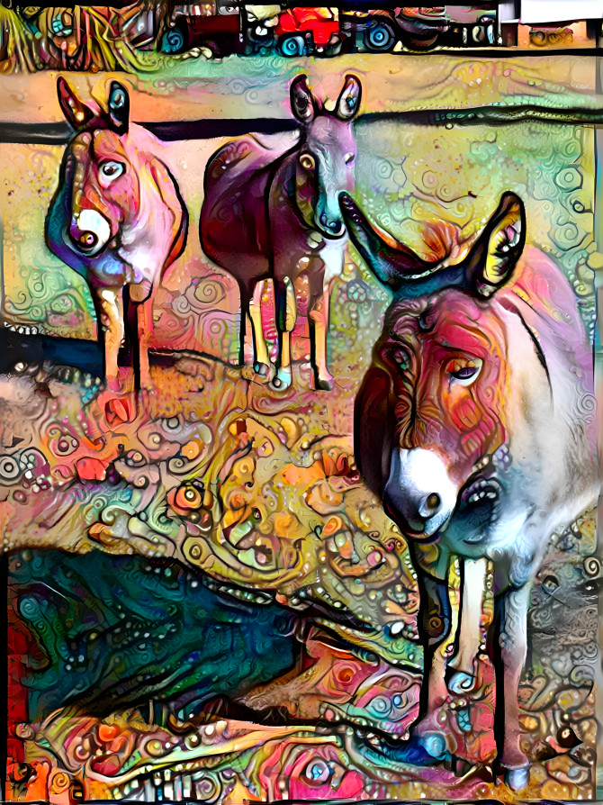 Donkey Dreams