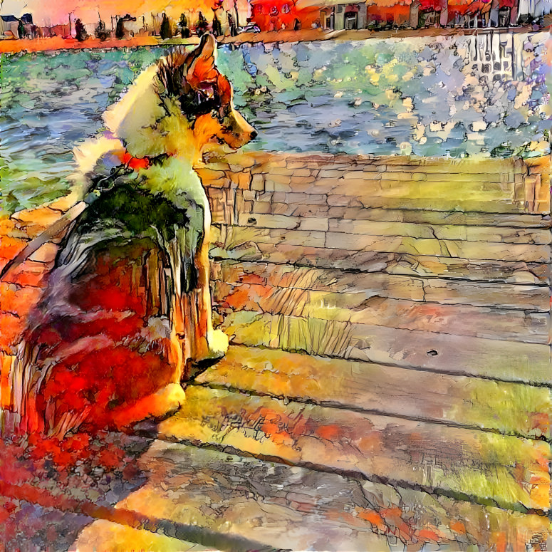 pup on the dock