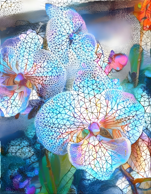 Polygonal Flowers