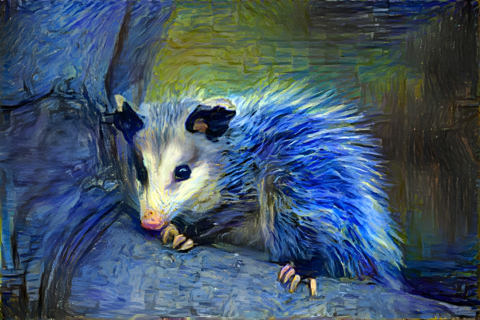 Opossum but Starry Night