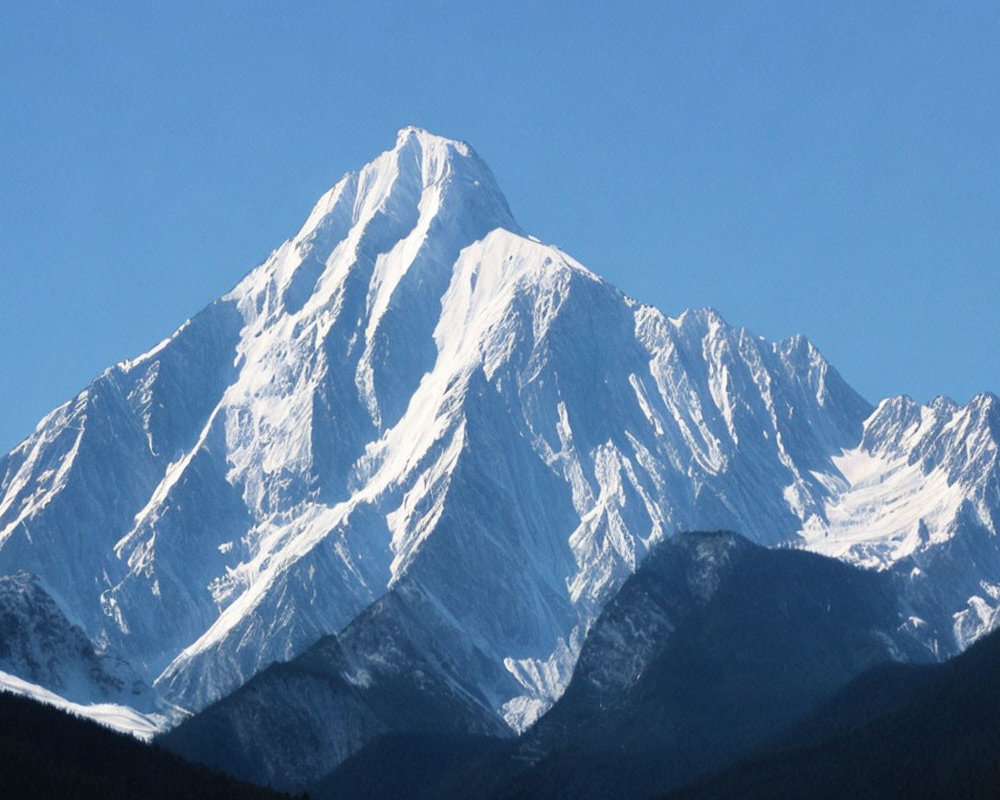 Snow-capped mountain peak towering over dense forests under clear blue sky