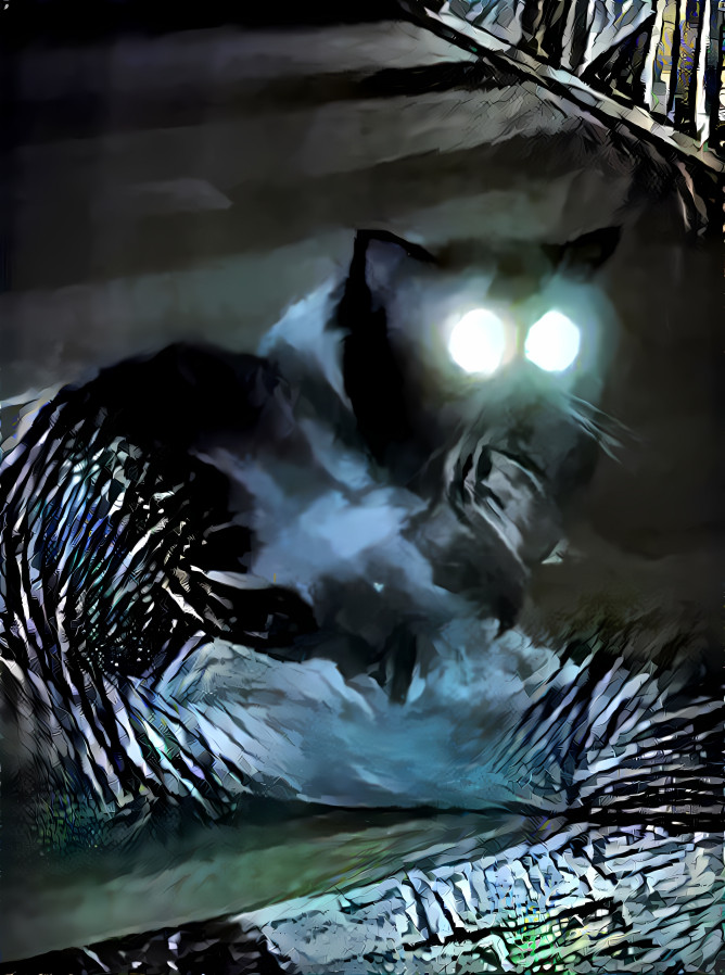The cat from nightmares