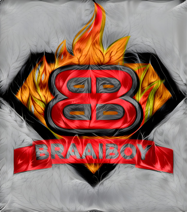 BraaiBoy Logo