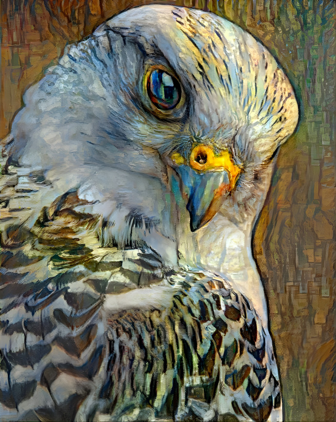 golden eagle