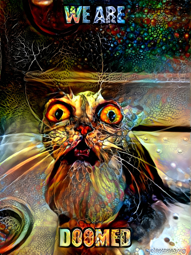 Doomed Kitty