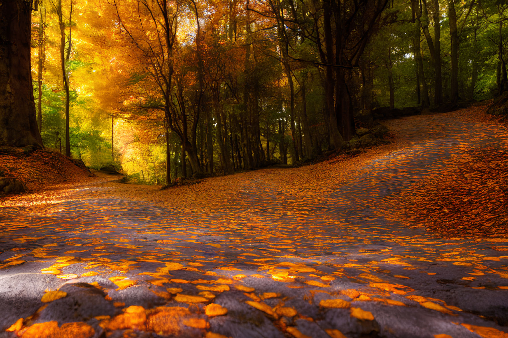 Tranquil autumn forest pathway with fallen leaves and golden sunlight