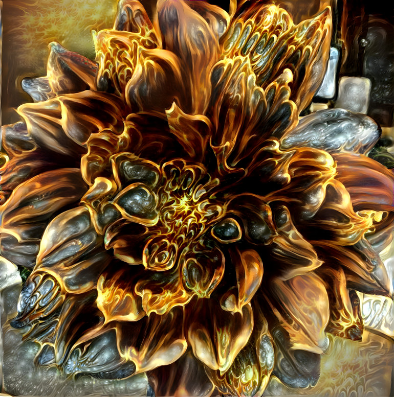 Everlasting golden blossom