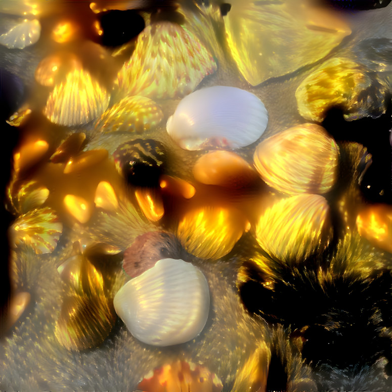 Golden shells