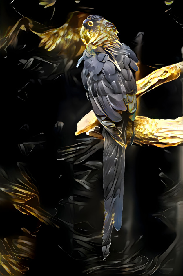 Gold Beak
