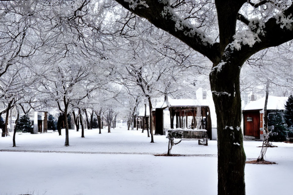 Snow-covered park with bare trees, wooden bench, small cabins.