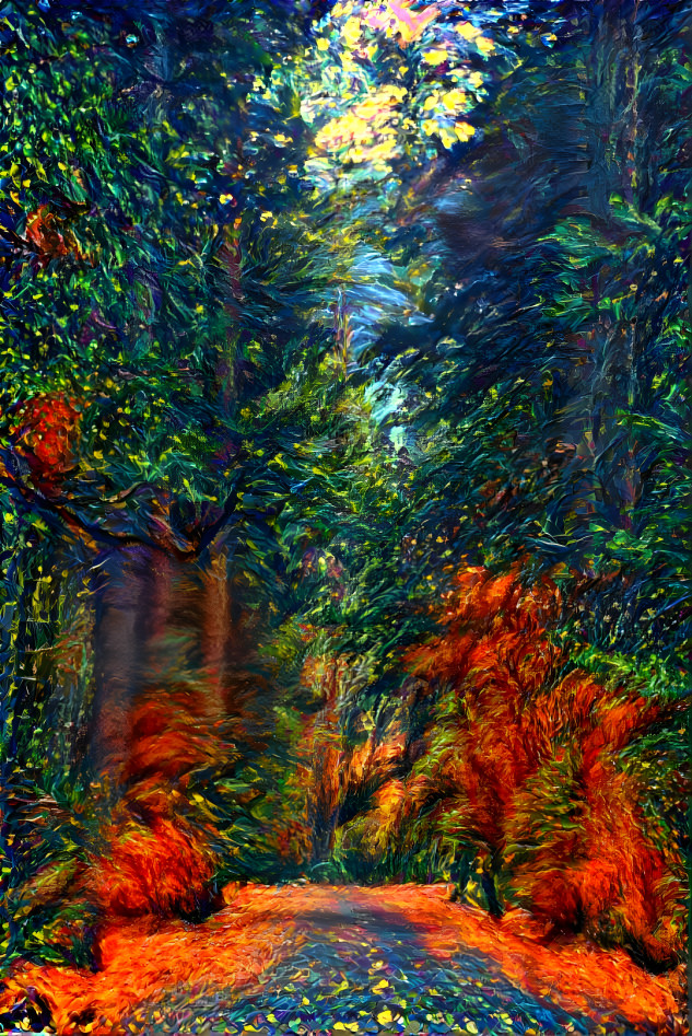 Driving Through the Woods