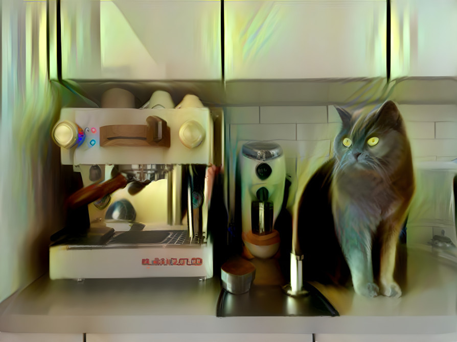 cat & cappuccino