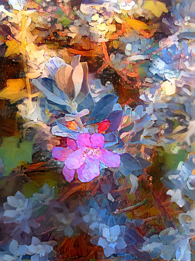 Sage in Bloom