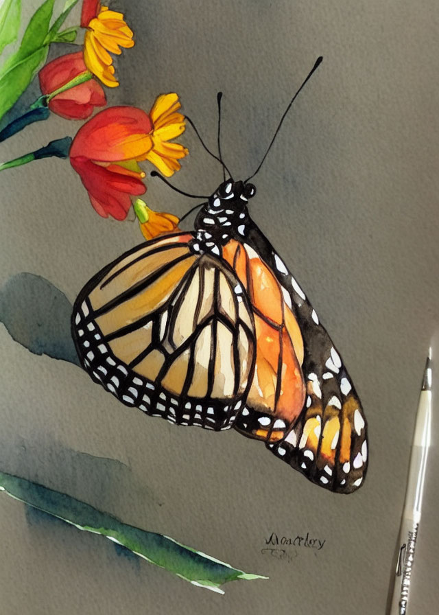 Monarch butterfly watercolor painting on flower stem with orange wings.