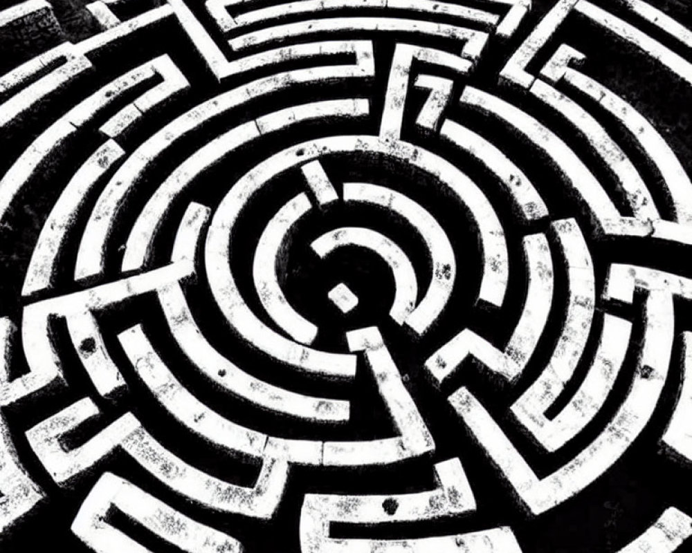Monochrome circular maze with intricate pattern
