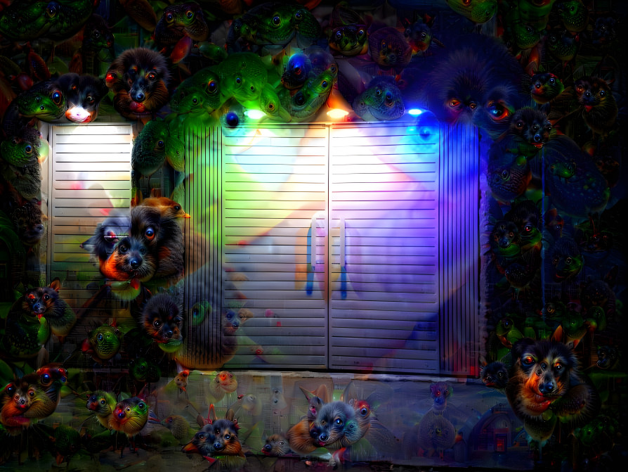 Evil Door