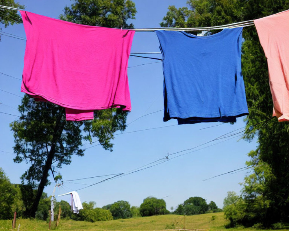 Clothes drying on line in sunny field with green grass and trees