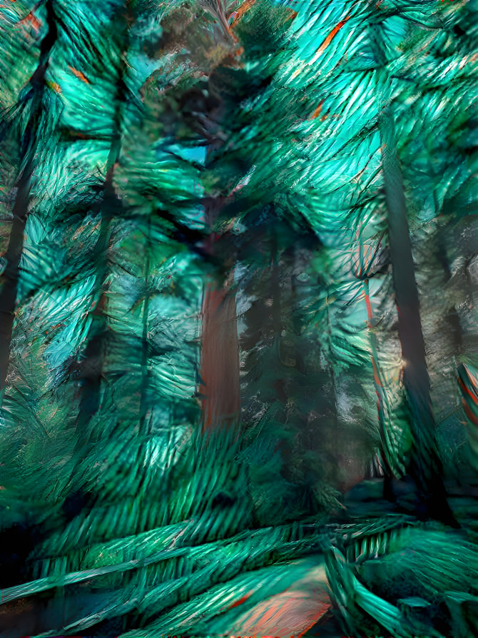 Braided Redwoods