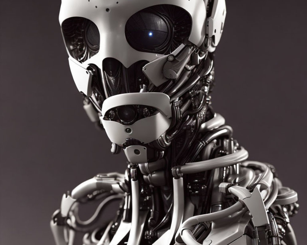 Detailed humanoid skull-faced robot with intricate mechanical parts and cables on plain background