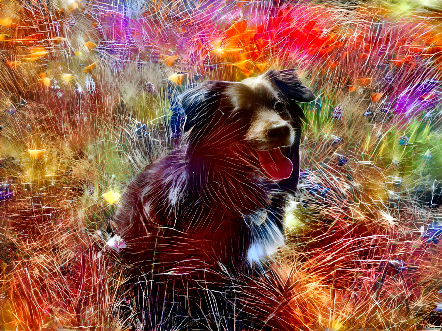 fireworks in doggy heaven