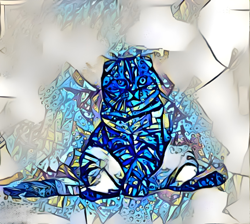 Blue Cat Sitting