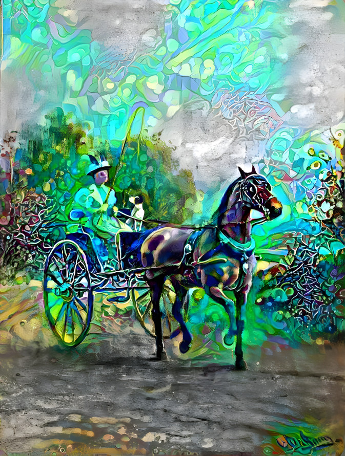 Horse & Carriage
