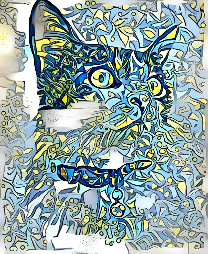 Blue Cat with Collar