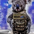 Koala on Military Backpacks with Rifle Under Dramatic Sky