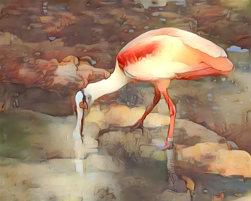 Spoonbill Flamingo Hybrid