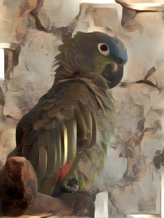 Parrot in the style of Rembrandt