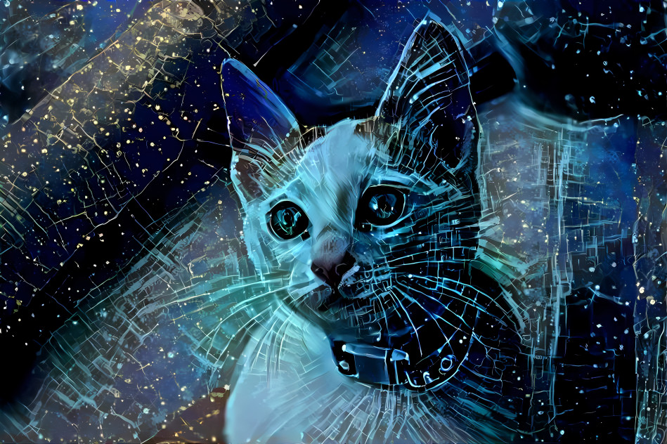Kitty Vitruvius 