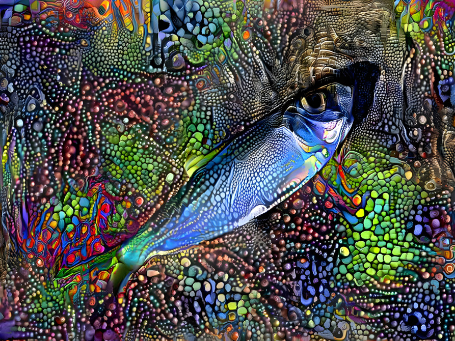 FISH20