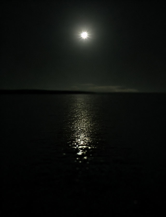 Bright Moon Reflecting on Calm Sea at Night