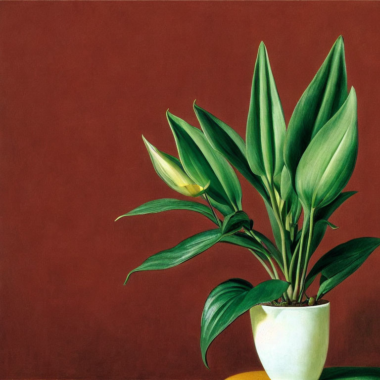 Realistic green plant painting in white pot on maroon background