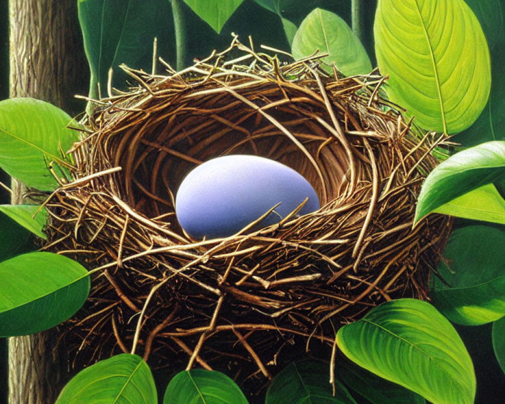 Detailed Bird's Nest with Single Blue Egg and Green Leaves on Dark Background