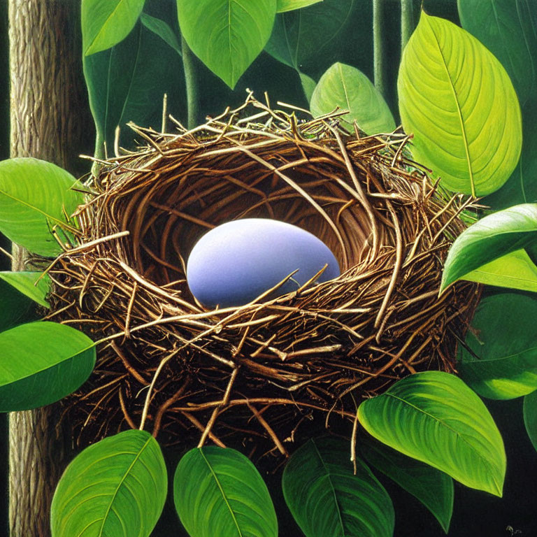 Detailed Bird's Nest with Single Blue Egg and Green Leaves on Dark Background