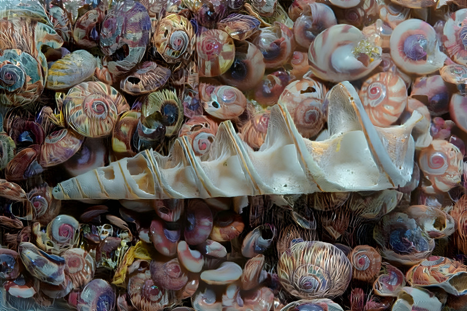 Shells and shells